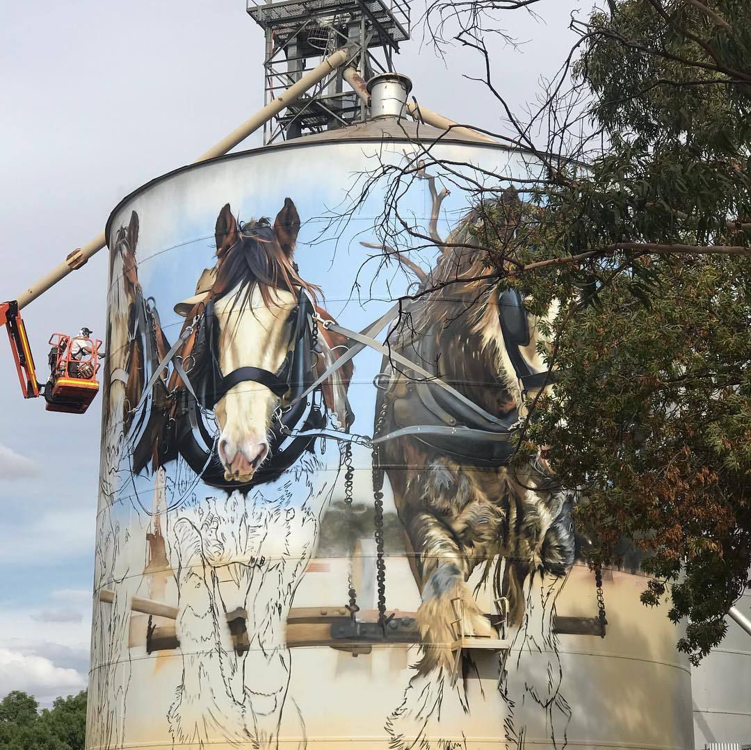 Animal Photo Realistic Murals By Dvate 1