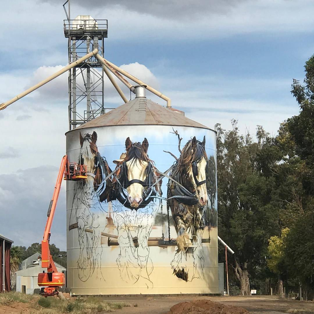 Animal Photo Realistic Murals By Dvate 3