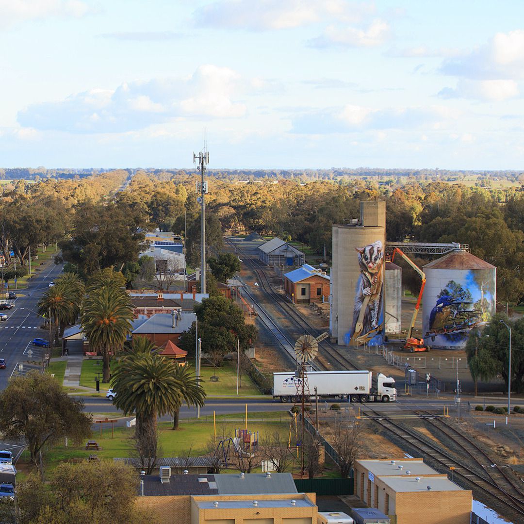 Animal Photo Realistic Murals By Dvate 4