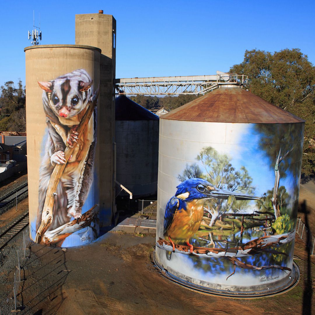 Animal Photo Realistic Murals By Dvate 5