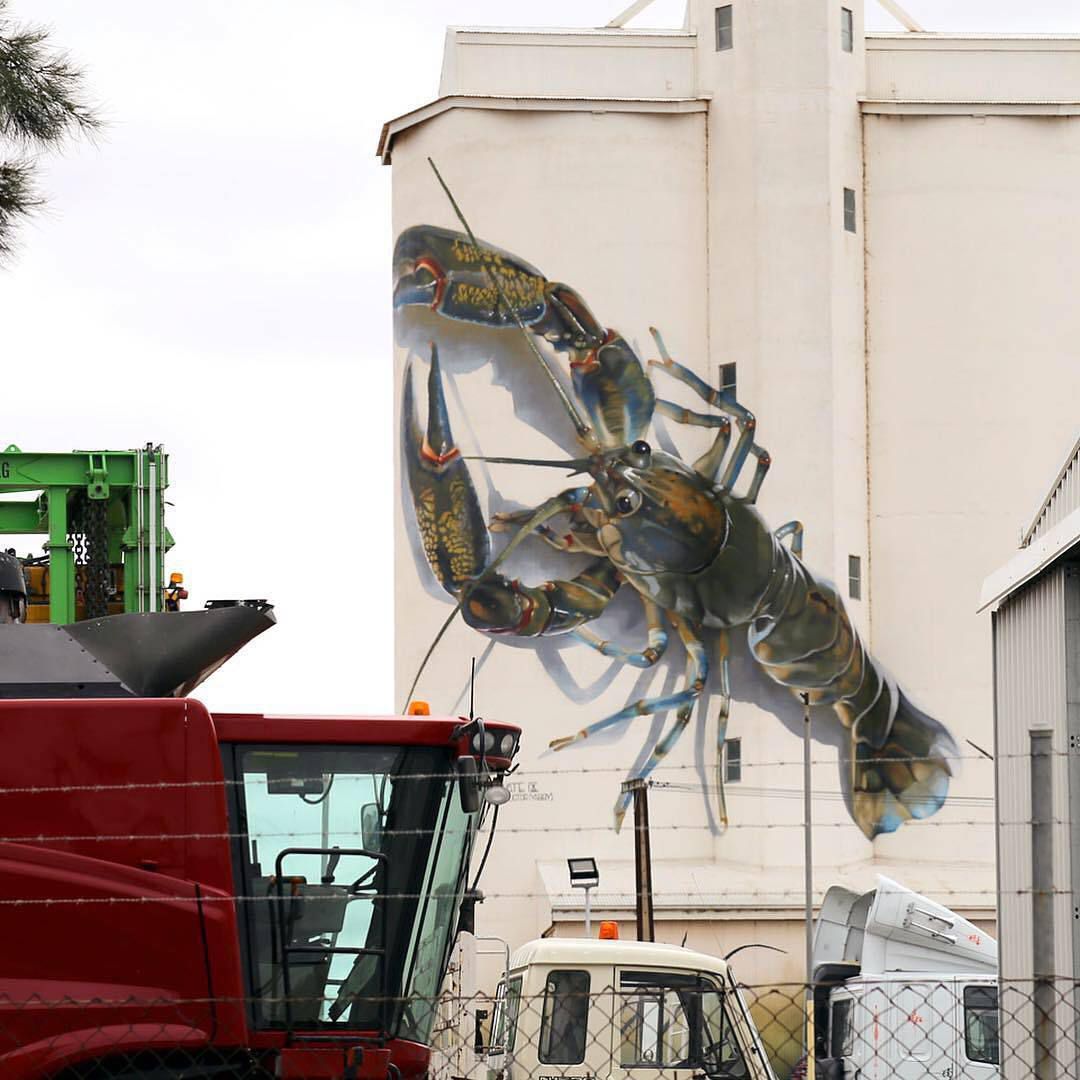 Animal Photo Realistic Murals By Dvate 6