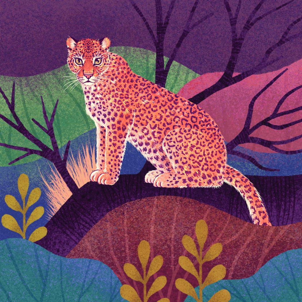 Fantastic Felines A Fascinating Animal Illustration Series By Rohan Dahotre 1