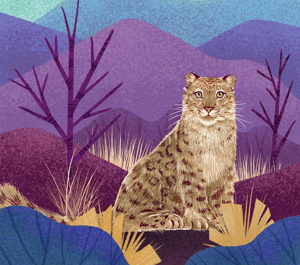 Fantastic Felines A Fascinating Animal Illustration Series By Rohan Dahotre 10