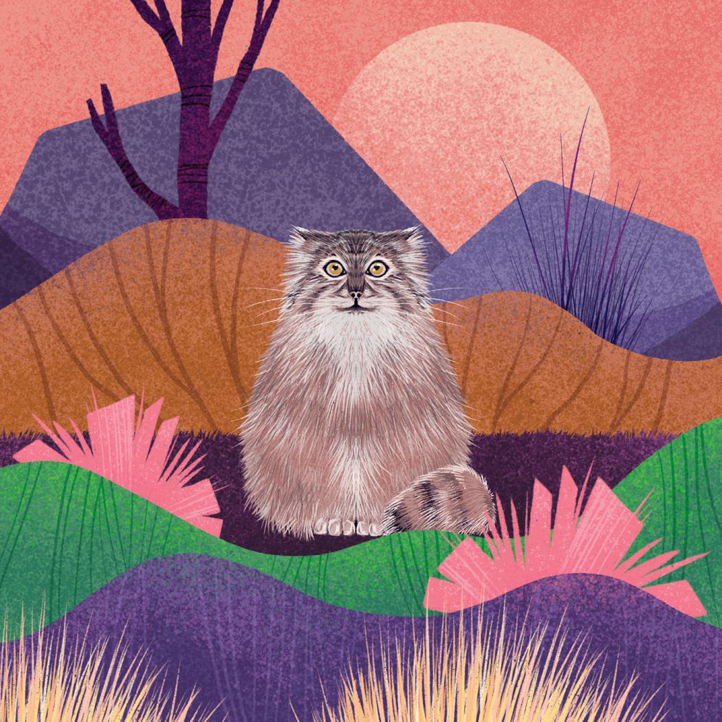Fantastic Felines A Fascinating Animal Illustration Series By Rohan Dahotre 2