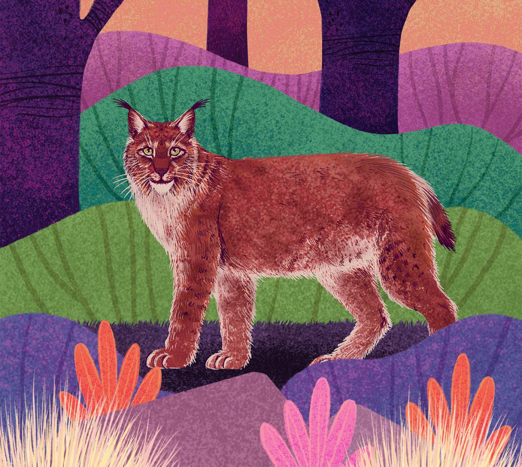 Fantastic Felines A Fascinating Animal Illustration Series By Rohan Dahotre 3