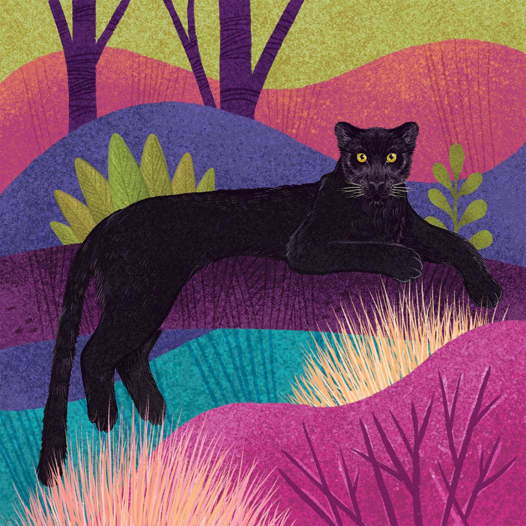 Fantastic Felines A Fascinating Animal Illustration Series By Rohan Dahotre 5