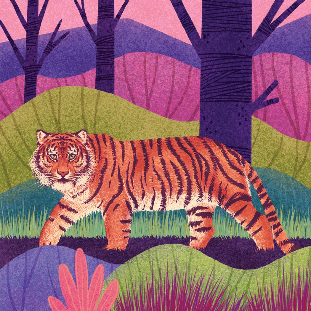 Fantastic Felines A Fascinating Animal Illustration Series By Rohan Dahotre 6
