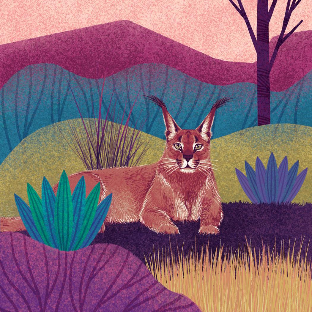 Fantastic Felines A Fascinating Animal Illustration Series By Rohan Dahotre 7