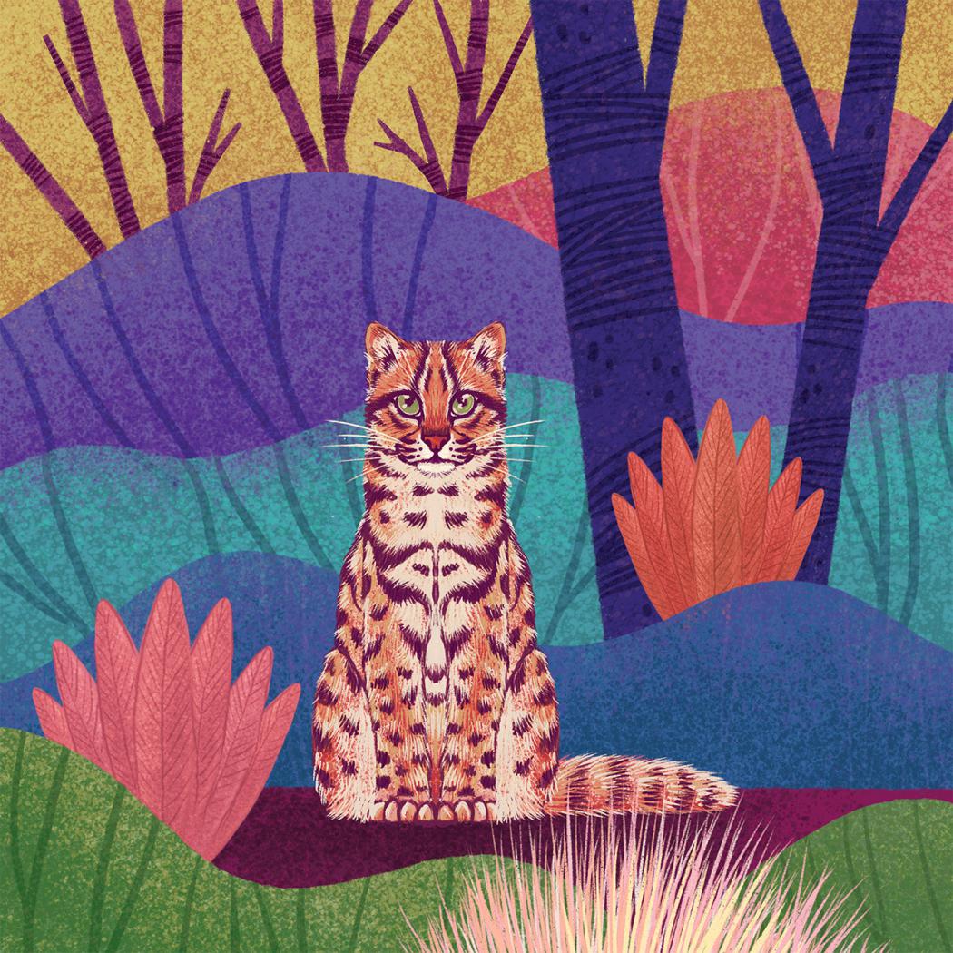 Fantastic Felines A Fascinating Animal Illustration Series By Rohan Dahotre 8