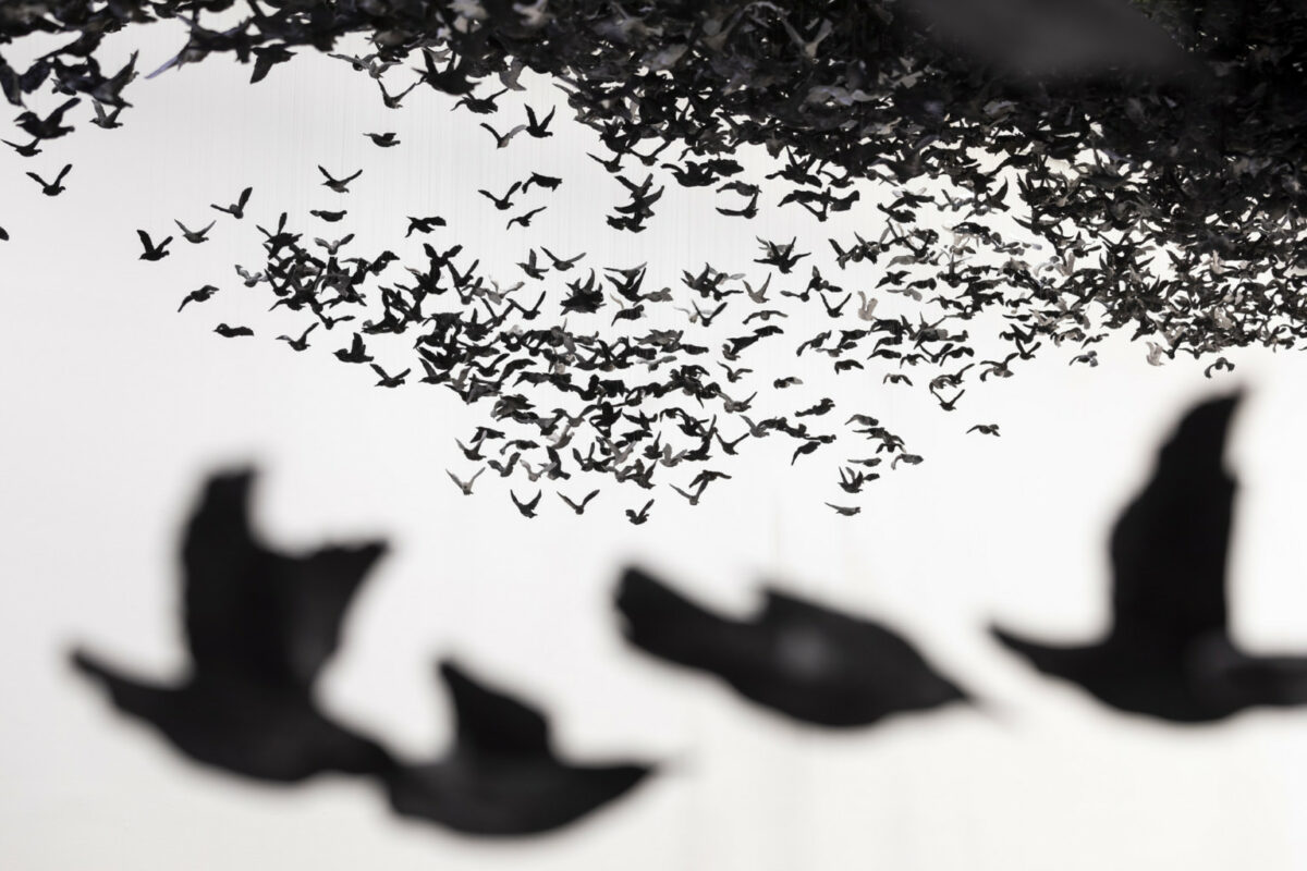 Murmuration An Installation Made Of Thousands Of Black Birds By Cai Guo Qiang 1 5