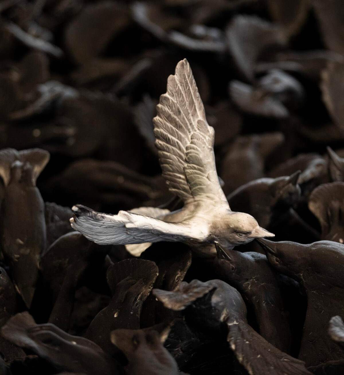 Murmuration An Installation Made Of Thousands Of Black Birds By Cai Guo Qiang 1 6