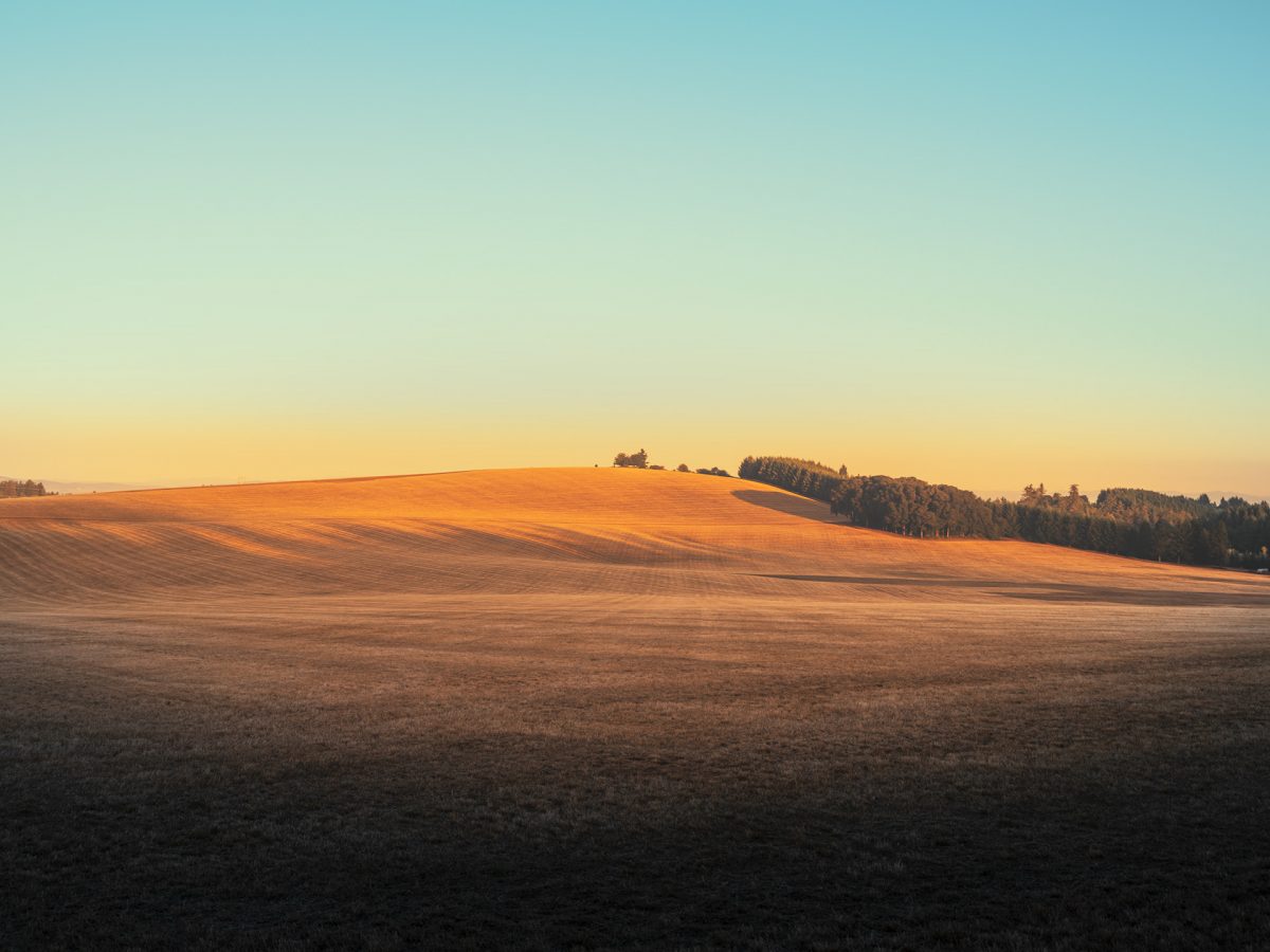 Oregon State Photographic Series By Ludwig Favre 08