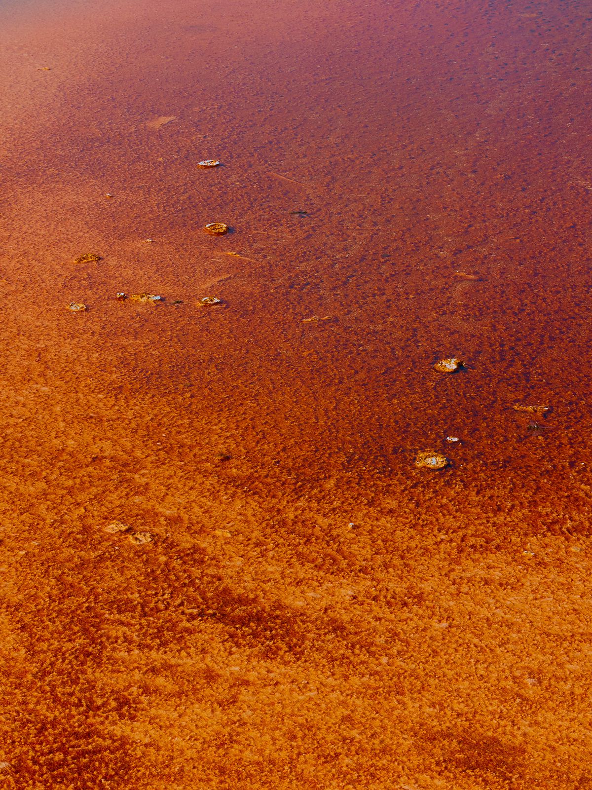 Strange Beauty The Beauty Of The Geothermal Activity By Zac Henderson 2