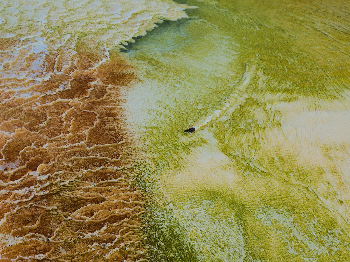 Strange Beauty The Beauty Of The Geothermal Activity By Zac Henderson 8