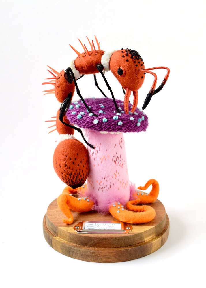 Beautiful And Bizarre Insect Plush Sculptures By Hine Mizushima 7