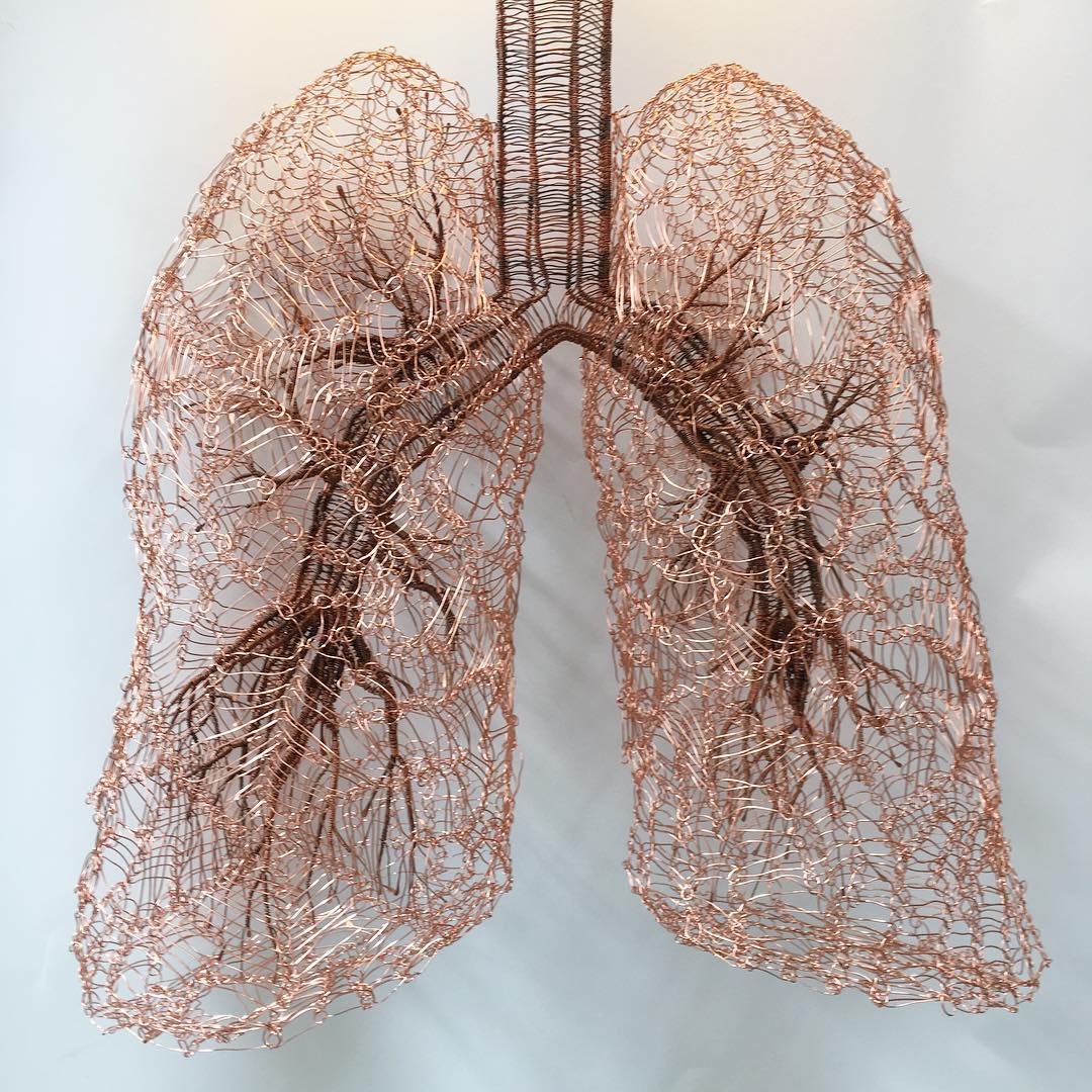 Fascinating Organic Shaped Copper Wire Sculptures By Sally Blake 4