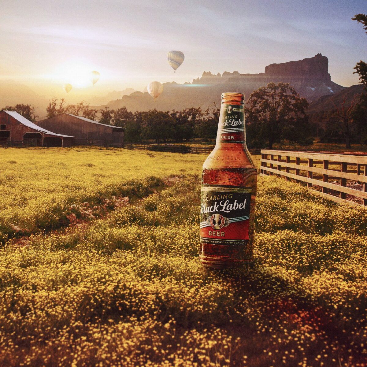 Lost Found Casual Surrealism Amusing Digital Collages By Carlos Jimenez Varela 10