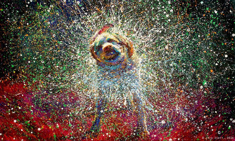 New Ultra Colored Impressionist Paintings By Iris Scott 7