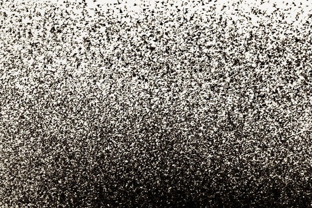 Black Sun Amazing Photography Series By Soren Solkaer 3