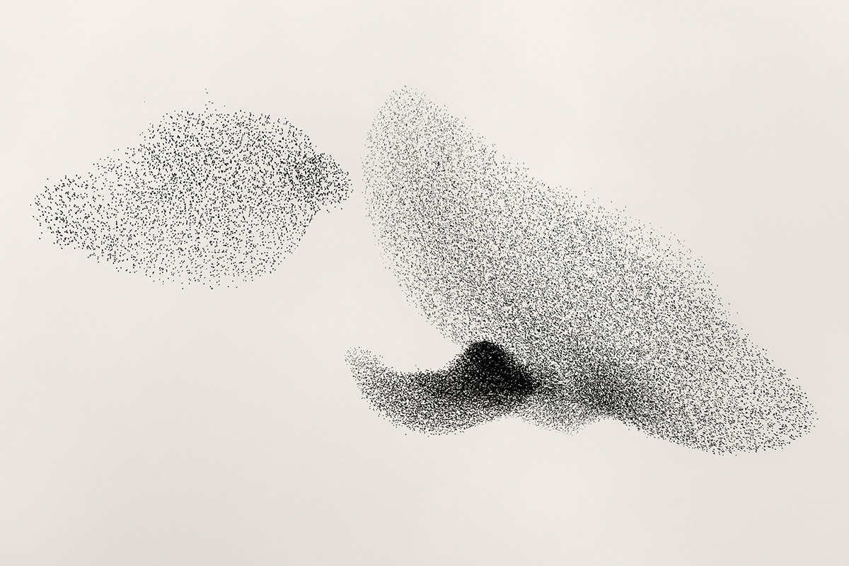 Black Sun Amazing Photography Series By Soren Solkaer 4