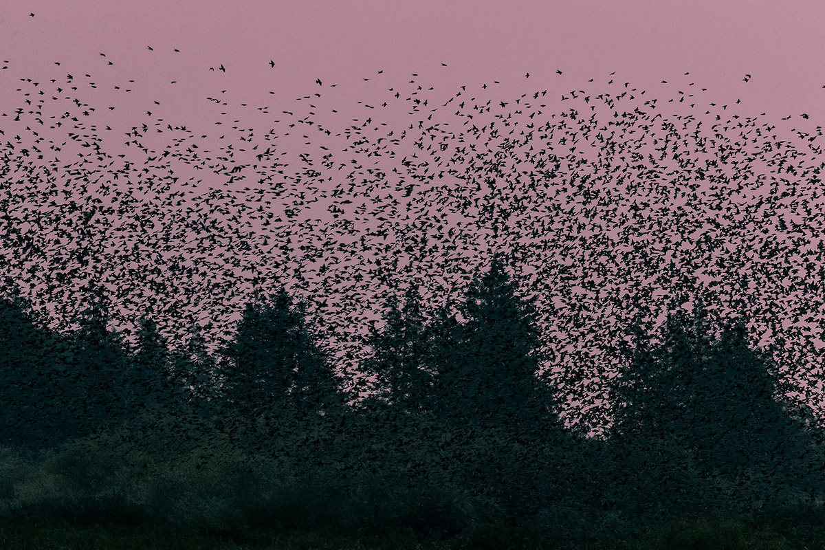 Black Sun Amazing Photography Series By Soren Solkaer 6