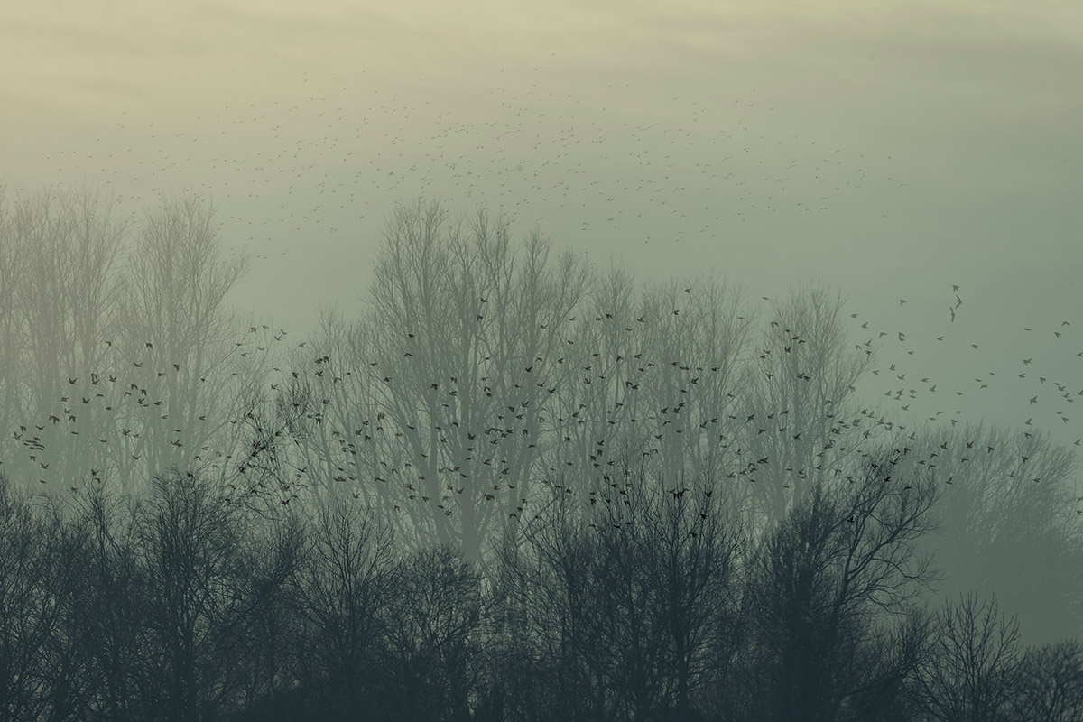 Black Sun Amazing Photography Series By Soren Solkaer 7