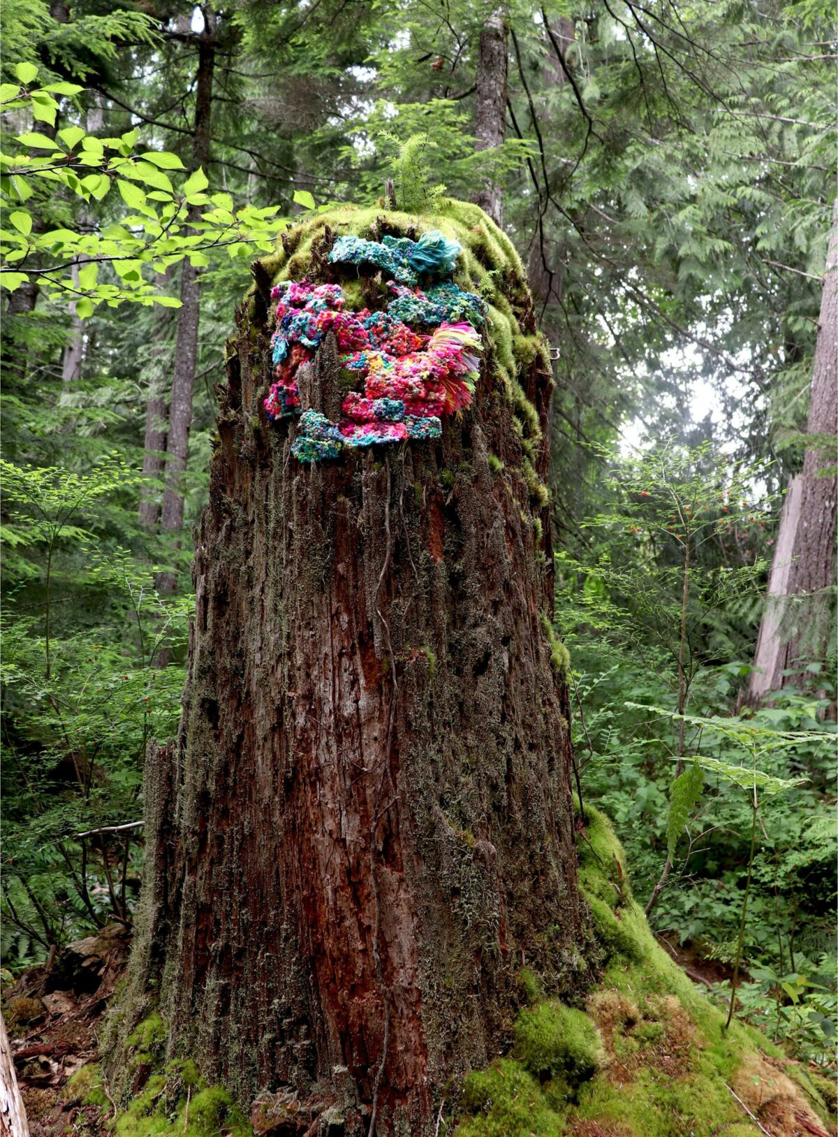 Blending Nature A Captivating Textile Installation Project By Katy Biele 4