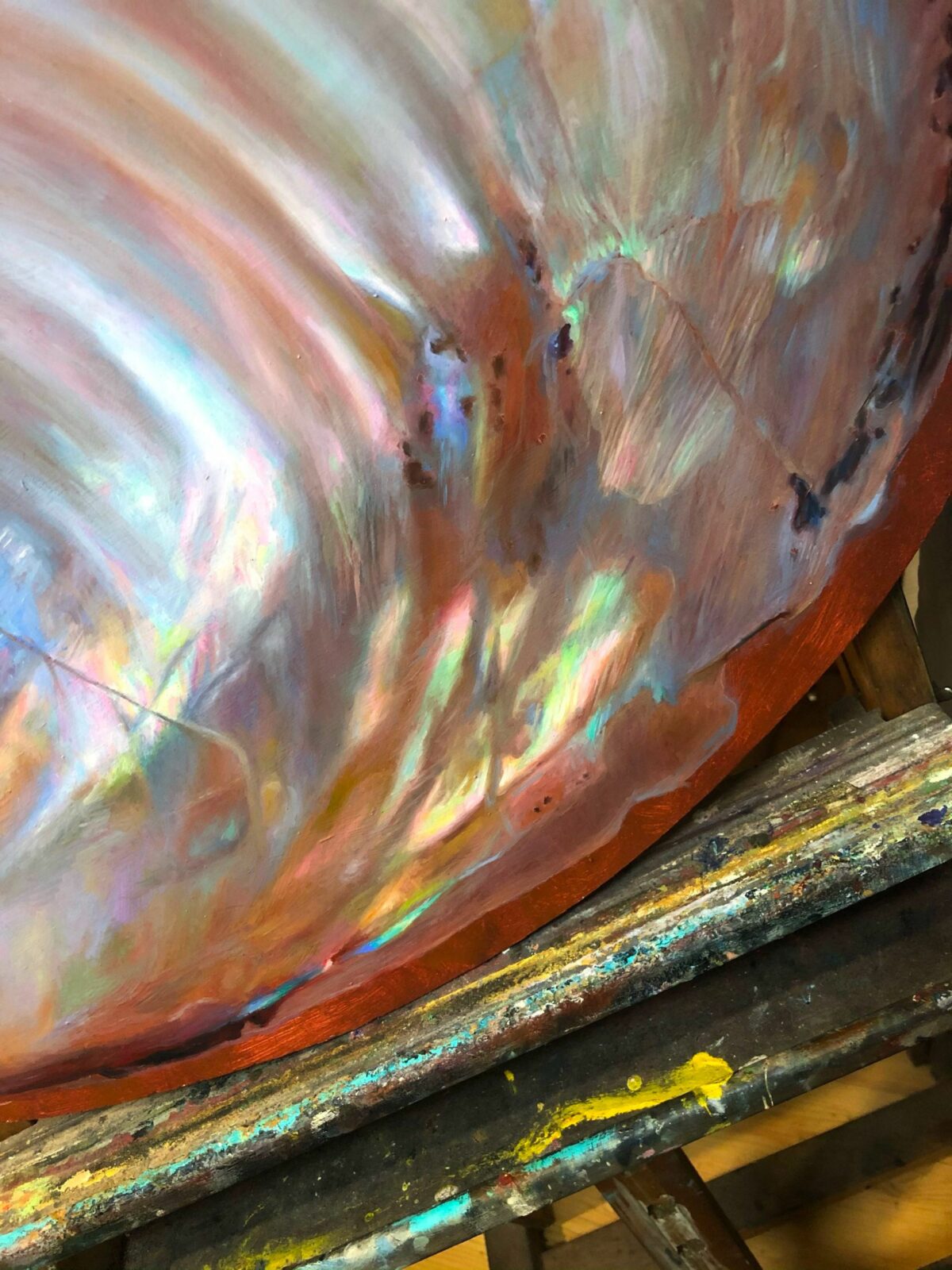 Bright Shells Wonderful Oil Paintings By Dominika Hofman 11