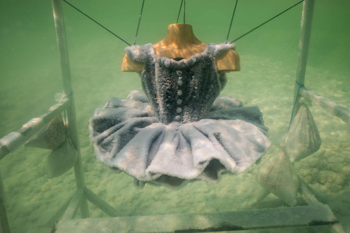 Everyday Objects Submerged In The Dead Sea Transform Into Amazing Salt Sculptures By Sigalit Landau 2