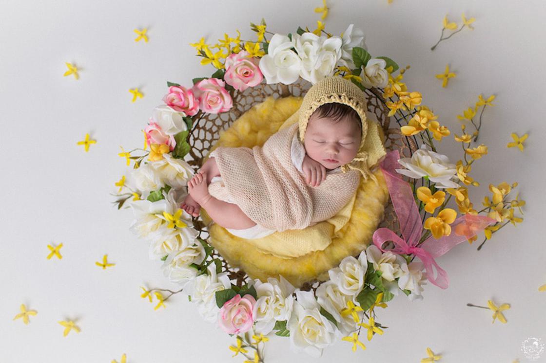 Gorgeous Photographs Of Babies In Natural Mandalas By Gaba Svarbu 10