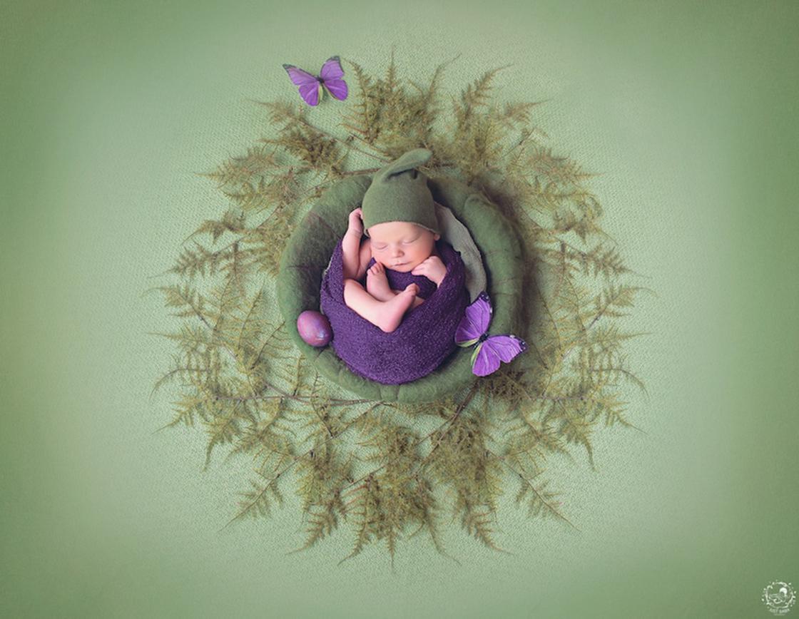 Gorgeous Photographs Of Babies In Natural Mandalas By Gaba Svarbu 5