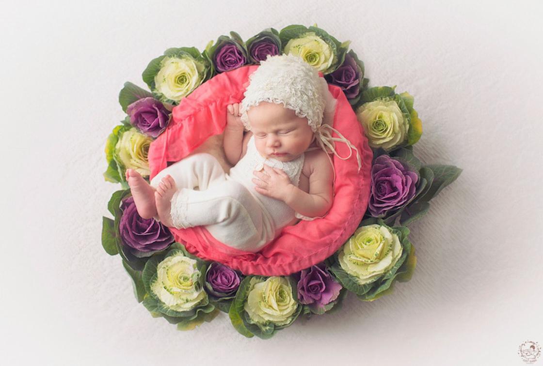 Gorgeous Photographs Of Babies In Natural Mandalas By Gaba Svarbu 8
