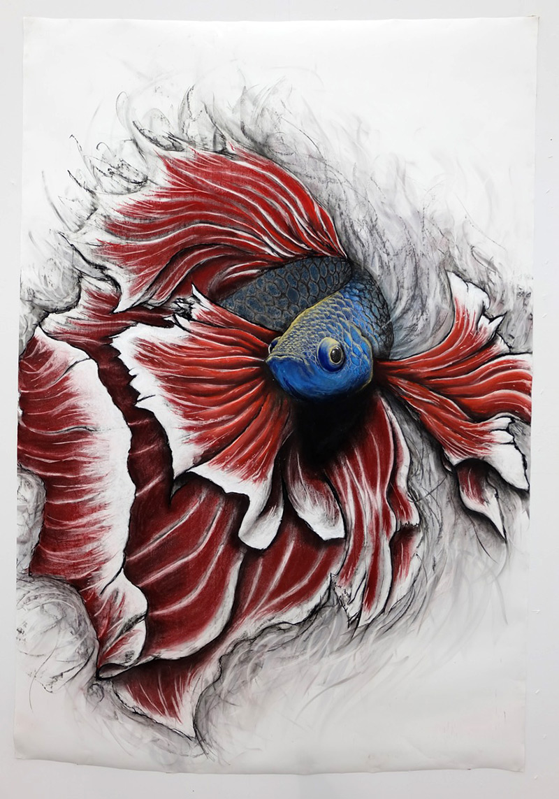 Striking 3d Animal Murals In Large Scale By Fiona Tang 5