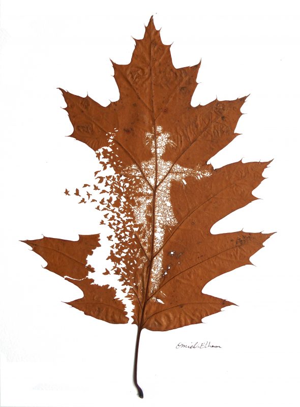 The Extraordinary Leaf Art Of Omid Asadi 1