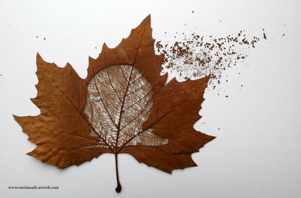 The Extraordinary Leaf Art Of Omid Asadi 12