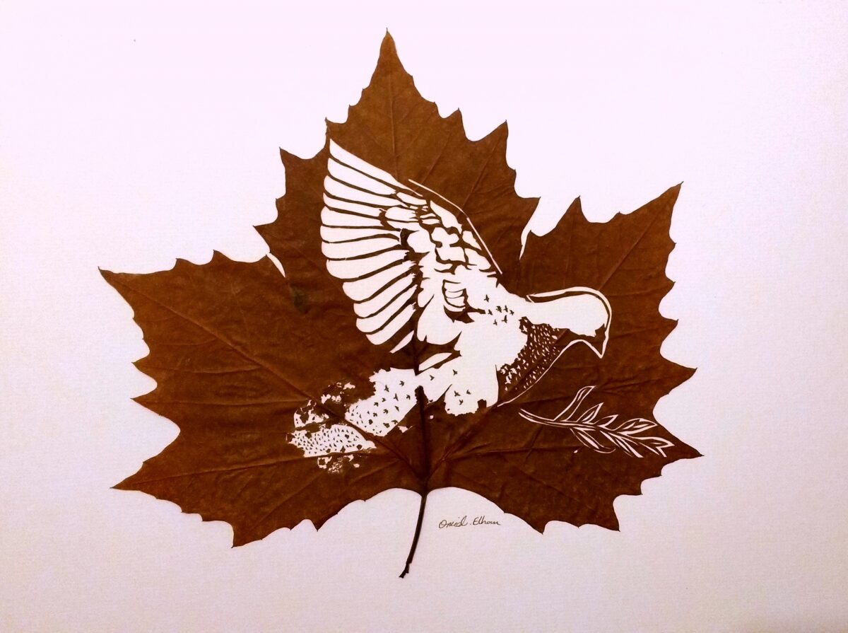 The Extraordinary Leaf Art Of Omid Asadi 14