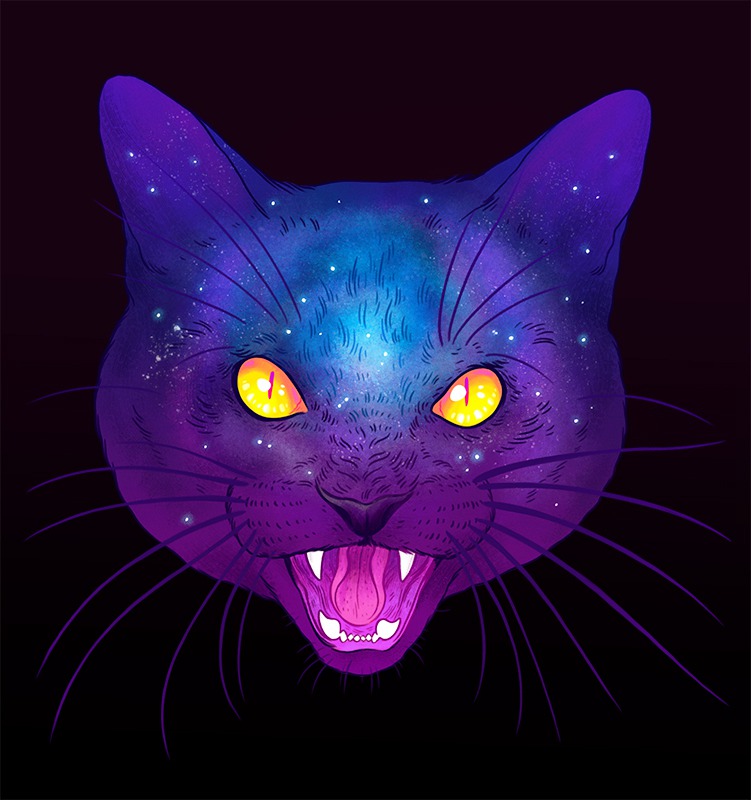 The Galactic Cats Of Jen Bartel 10