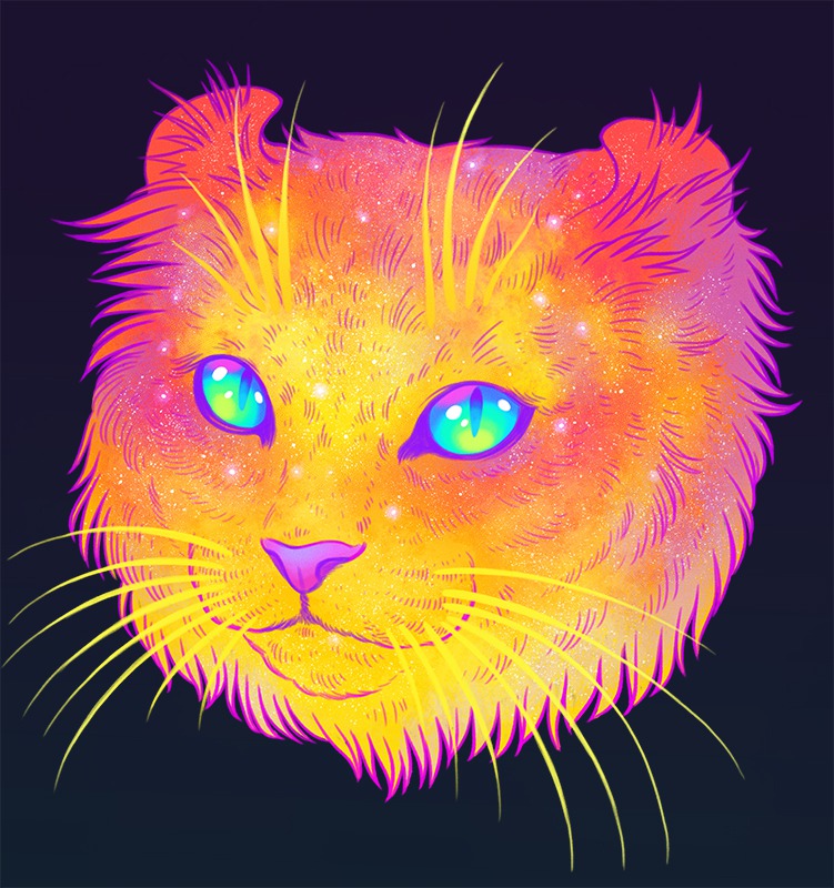 The Galactic Cats Of Jen Bartel 4