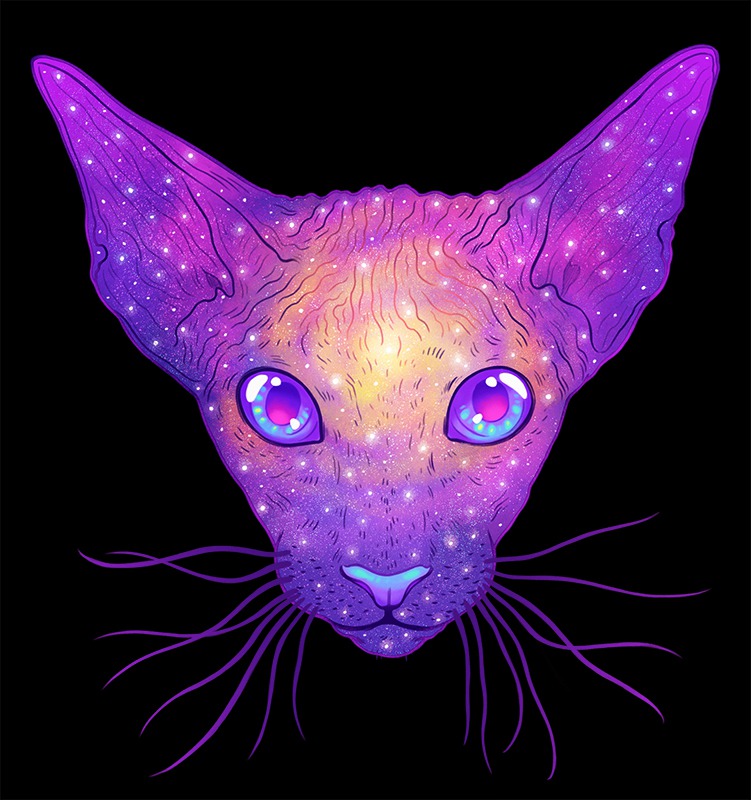 The Galactic Cats Of Jen Bartel 8