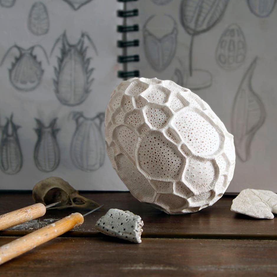 The Intriguing And Unique Ceramic Art The Plays With Organic Shapes Of Anna Whitehouse 2