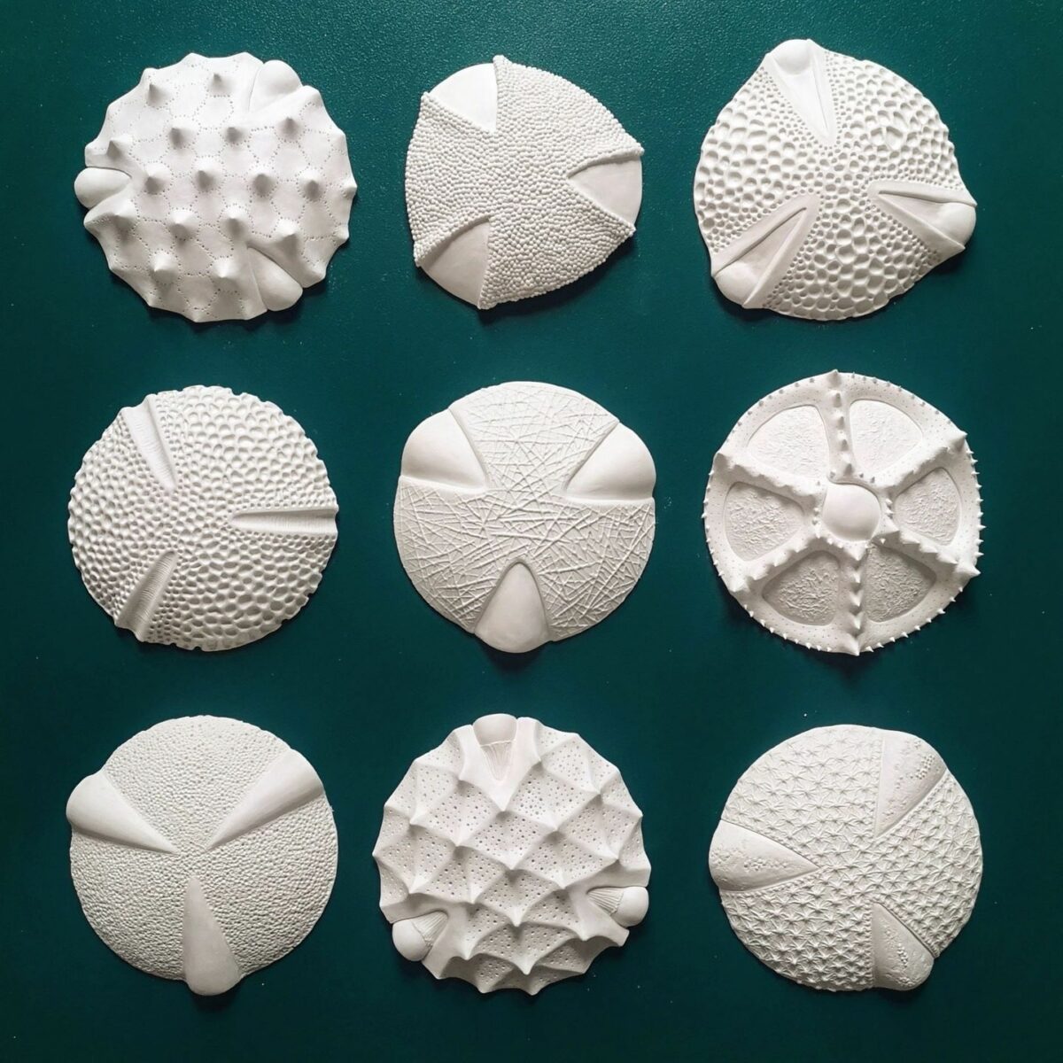 The Intriguing And Unique Ceramic Art The Plays With Organic Shapes Of Anna Whitehouse 6