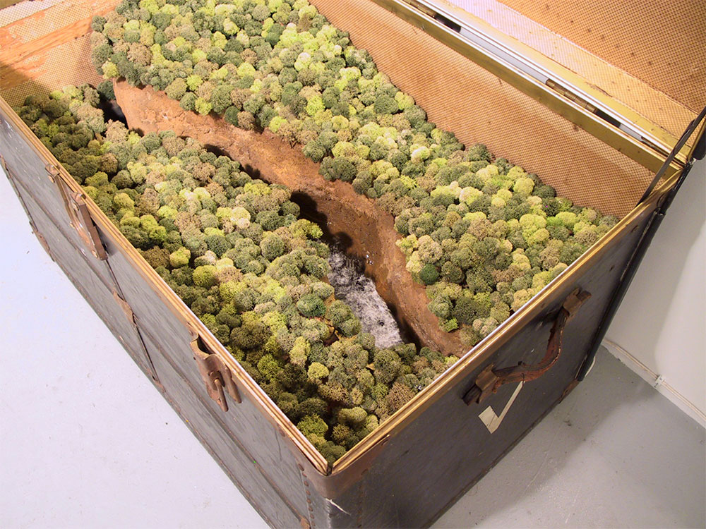 Traveling Landscapes Incredible Miniature Ecosystems Kept Inside Vintage Suitcases By Kathleen Vance 3