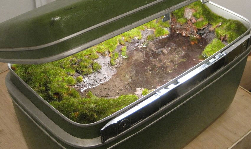 Traveling Landscapes Incredible Miniature Ecosystems Kept Inside Vintage Suitcases By Kathleen Vance 4
