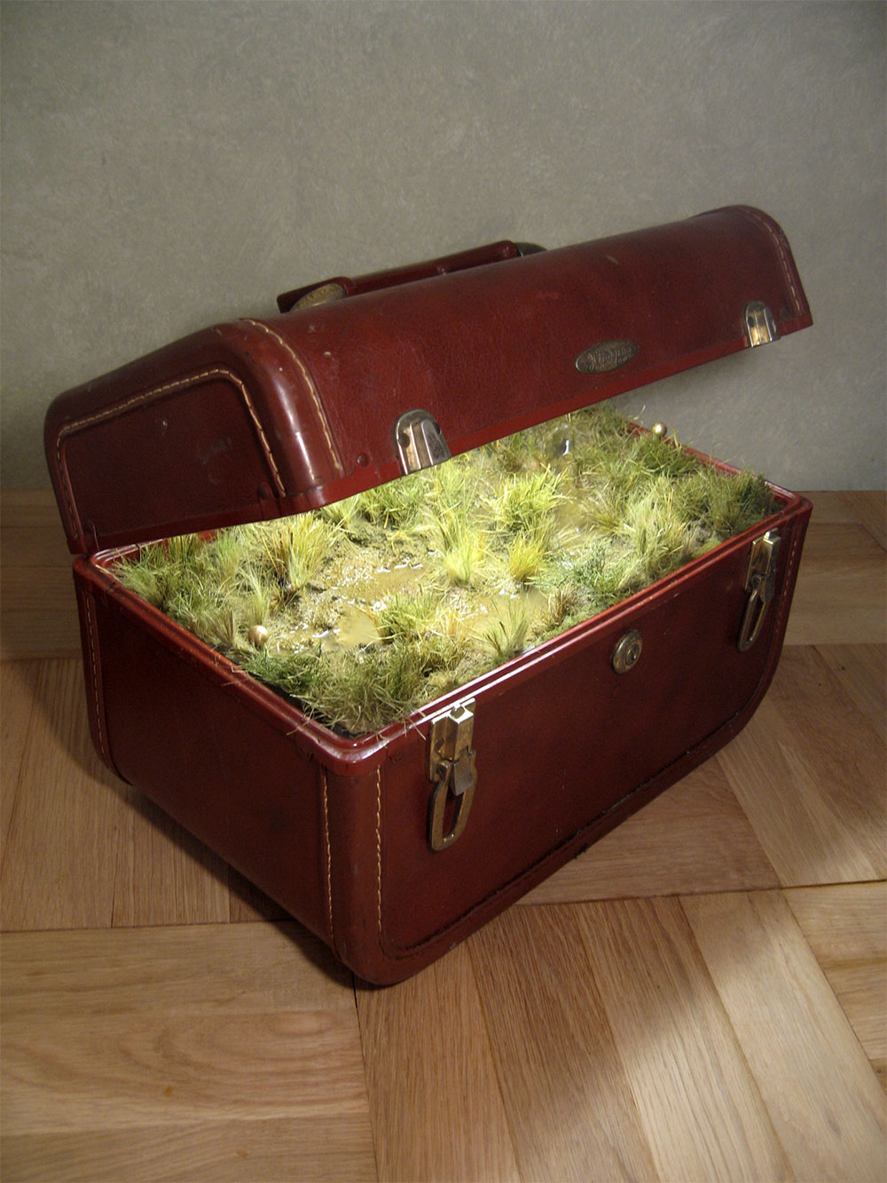 Traveling Landscapes Incredible Miniature Ecosystems Kept Inside Vintage Suitcases By Kathleen Vance 7