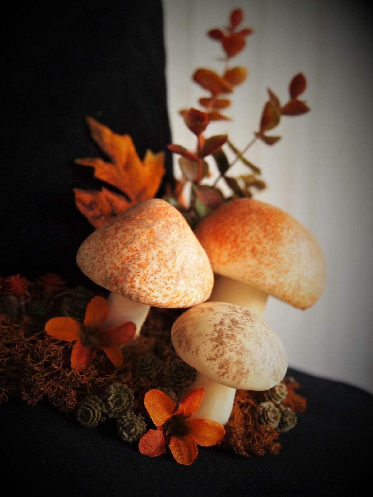 Wonderful Witch Hats By Jamie And Frederick Addington 3