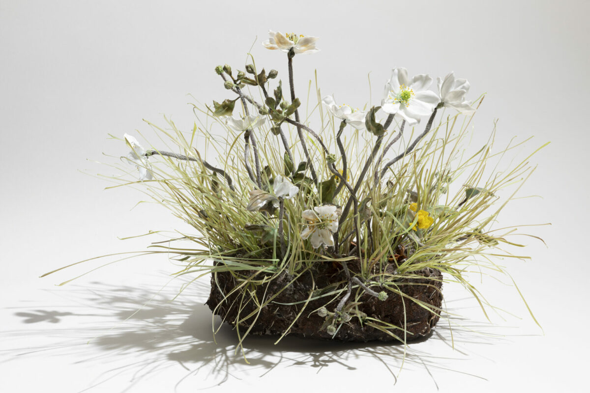 Glass Still Life Fascinating Sculptures By Lilla Tabasso 14