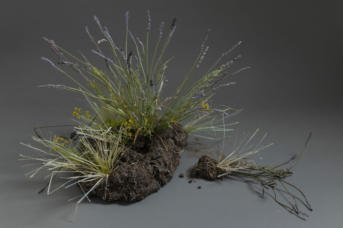 Glass Still Life Fascinating Sculptures By Lilla Tabasso 15