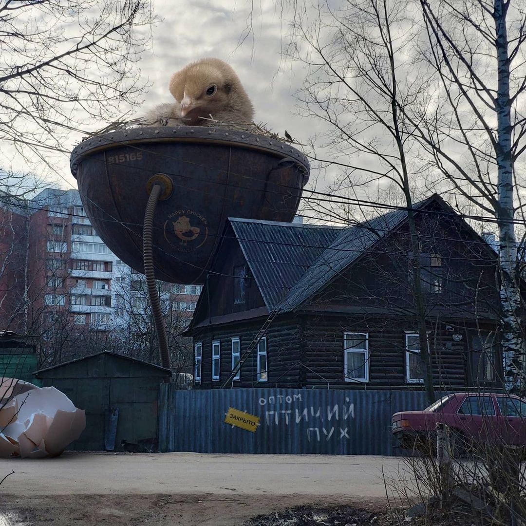 Incredible Compositions Of Giant Animals In Russian Urban Spaces By Vadim Solovyov 6