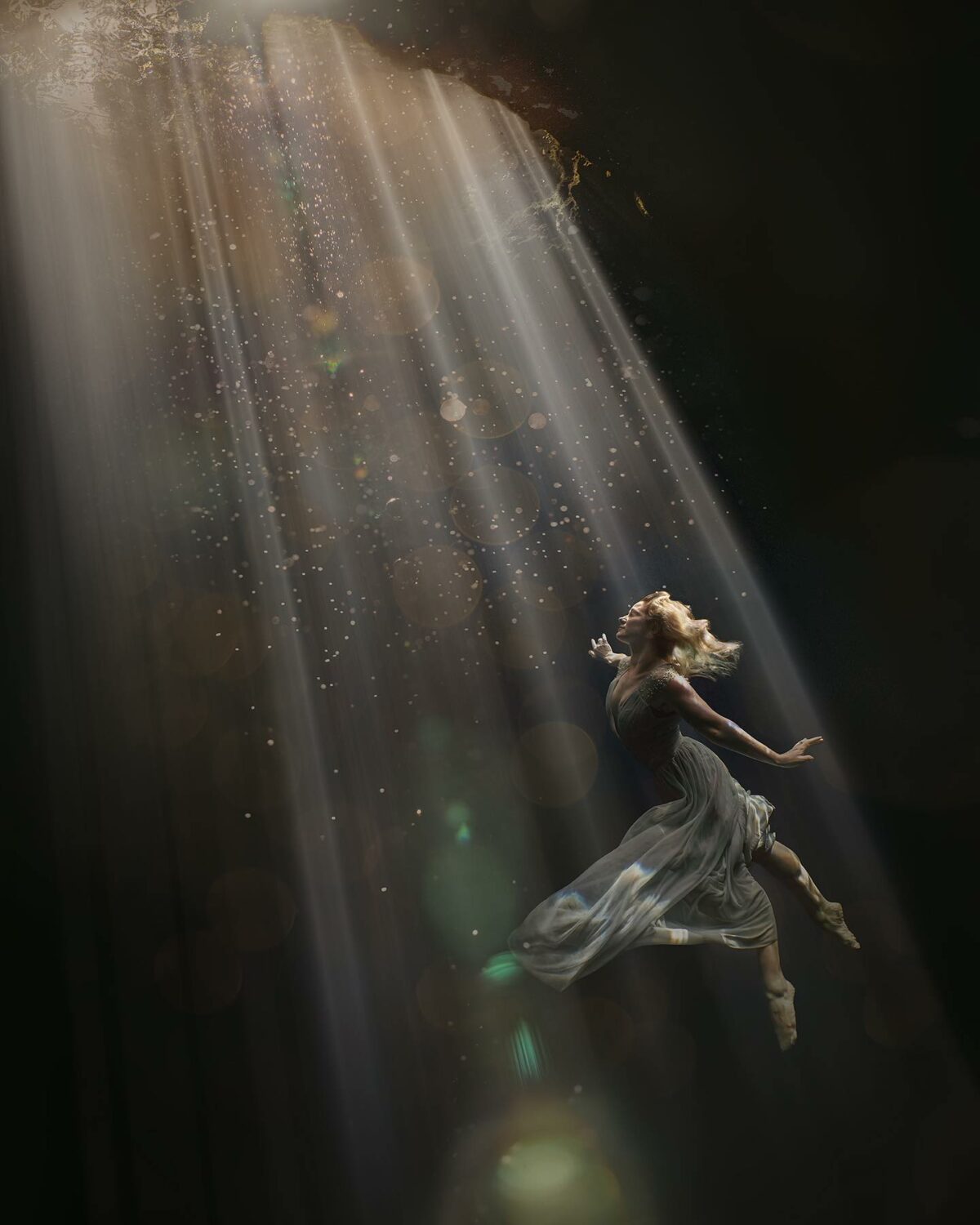 The Majestic Underwater Photography Of Lexi Laine 11