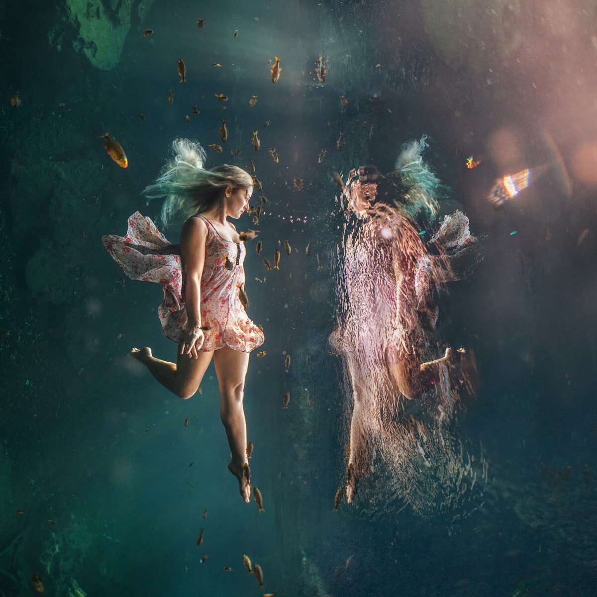 The Majestic Underwater Photography Of Lexi Laine 4